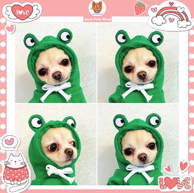 Frog Pet Costume