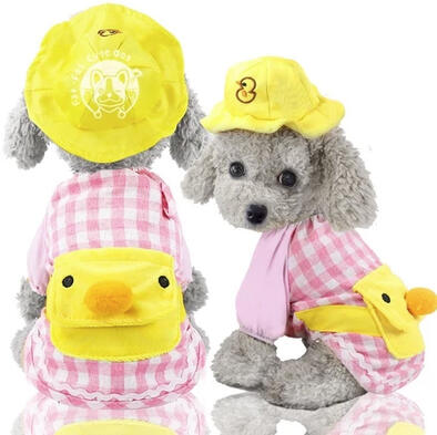 Kindergarten Pet Costume