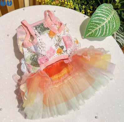 Rainbow Butterfly Pet Costume